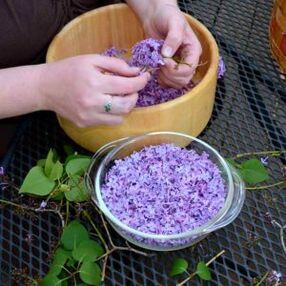 Popular remedies for the treatment of fingertips
